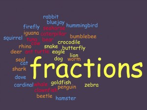Fraction word cloud